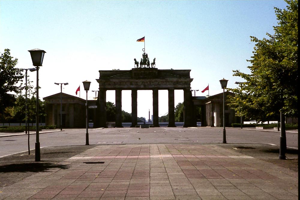 1981